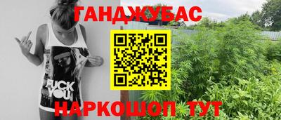 амф Дубна