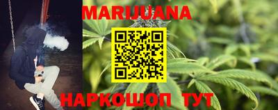 амф Дубна