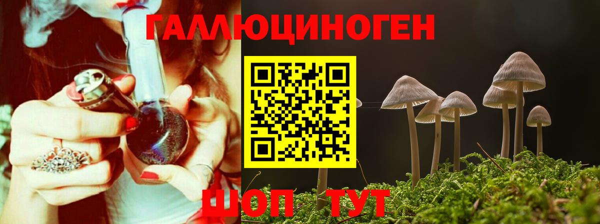 Нижнеудинск  Псилоцибиновые грибы ЛСД  Вход с VPN 