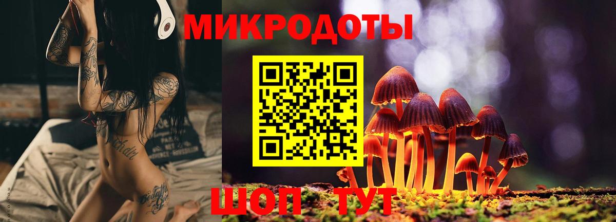 Псилоцибиновые грибы мухоморы Нижнеудинск